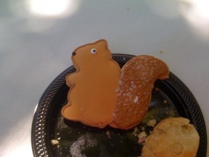 Squirrel cookie