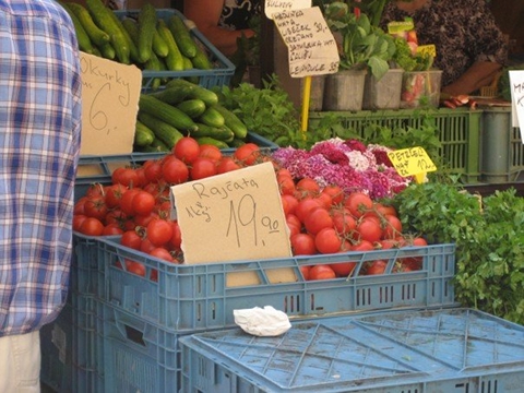 Tomatoes, cucumbers, cilantro