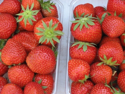 Strawberries