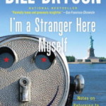 Review: I’m a Stranger Here Myself