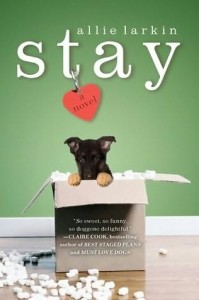 Stay, Allie Larkin