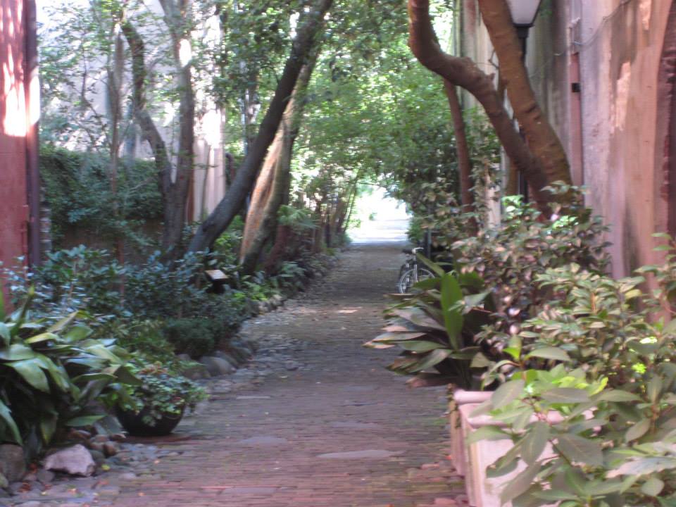 Photo of shady alley in South Carolina, with plants lining the walkway and a bicycle in the background.