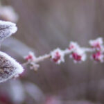 What I read: January 2023