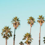 What I read: July 2023