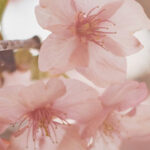 What I read: April 2024