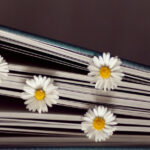 What I read: May 2024