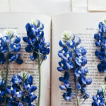 What I read: March 2025