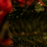 What I read: December 2025