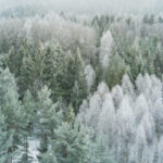 What I read: January 2026