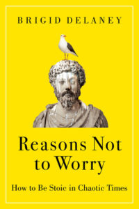 Reasons Not to Worry, Brigid Delaney